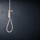 Illustration for article titled Nooses Placed Outside Illinois School Over MLK Day Weekend Spur Police Investigation